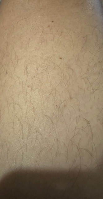 Profil de Louis-martin